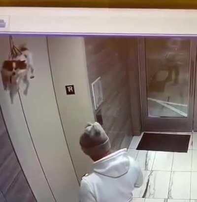 Someone forgot the dog