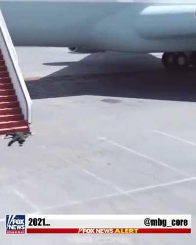 Breaking News: Biden trips of Plane ones again!!