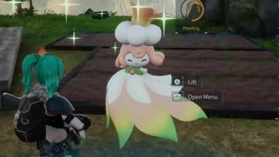 Lullu is the cutest pal, try to change my mind