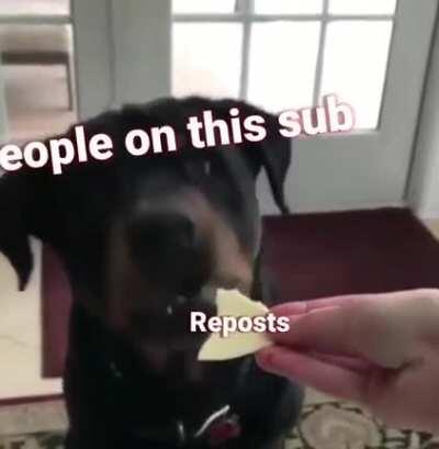 It really do be that way