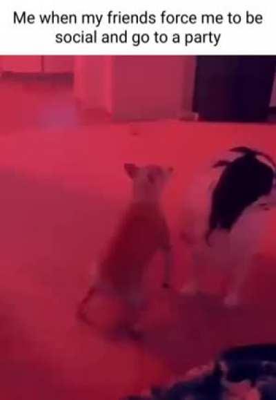 We all feel this way.