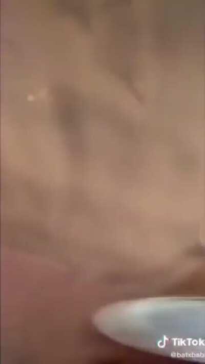 The genetically engineered catgirl awaiting her top-hatted gentleman 👨🏻🎩👌