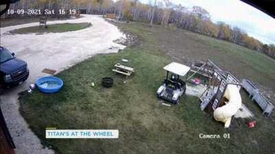 Dog takes golf cart for a ride, crashes into truck