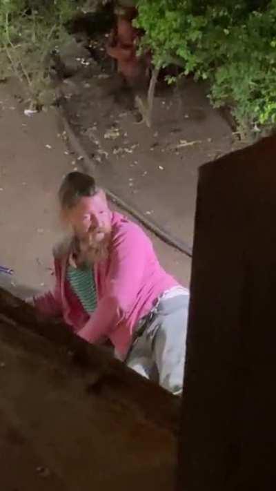 Waikiki needs to pick it up with their animal control. 🐱