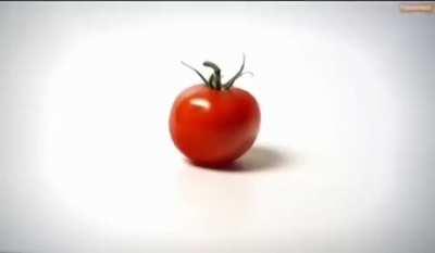 He's an actual rescued tomato