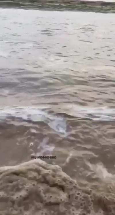 Did not see that coming