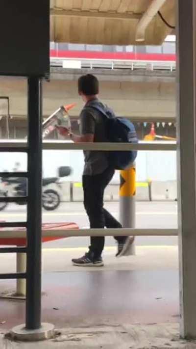 Unicorns grazing in the wild