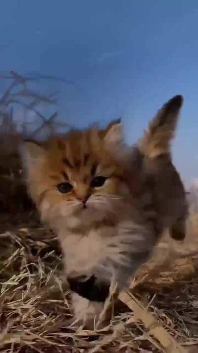 ts so fucking hard😭😭