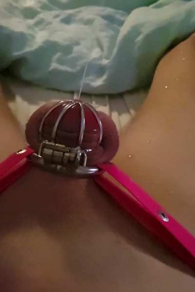 One of my first little squirts 🫣