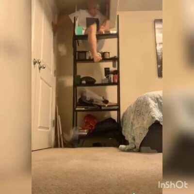 Guess what they broke chilling on top of a book case.