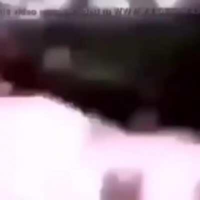 فيديو لقرد يدور بلا وعي🤑