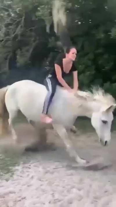 Все любят кушать.