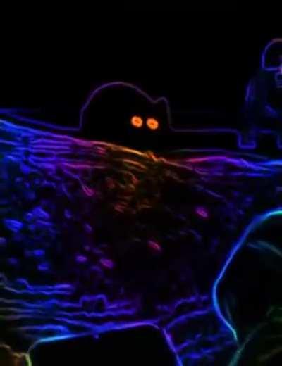 Ахуенный фильтр!!!