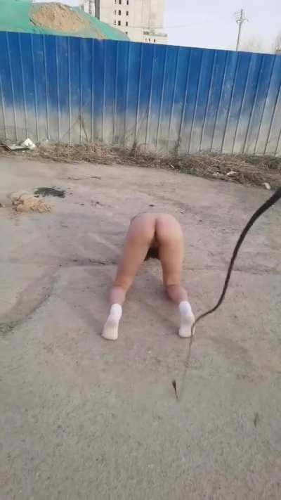 Flogging in the wild.