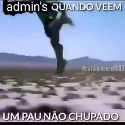 PedroDBR - Video #9257