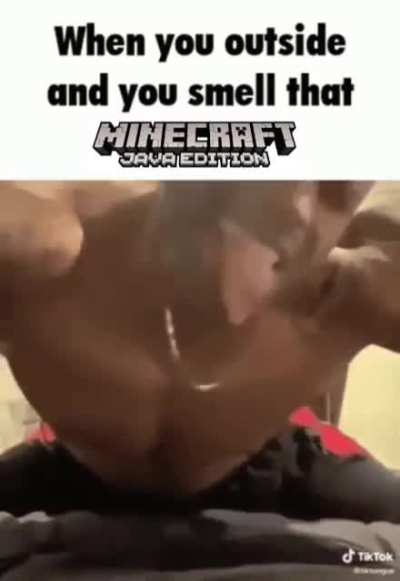 when you smell that #𝐌𝐈𝐍𝐄𝐂𝐑𝐀𝐅𝐓 𝐉𝐀𝐕𝐀 𝐄𝐃𝐈𝐓𝐈𝐎𝐍