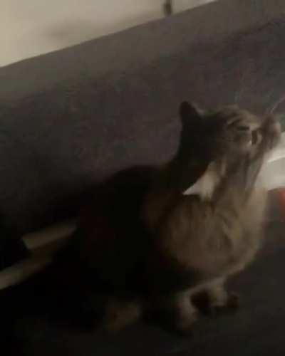 having a grand time with his new toy