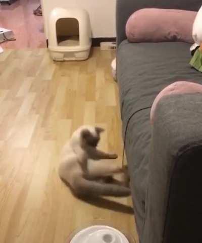 GET IT OFF!!! (u/cyan1618)