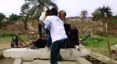 Это самое лучшее открытие моста, которое я видел