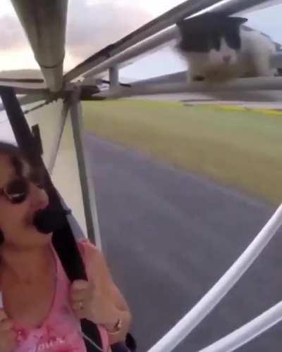 If you want to eat a bird, go to where the birds are.