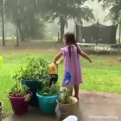 Watering the plants in rain