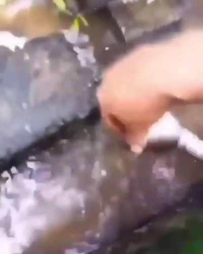 first time posting I'm scared