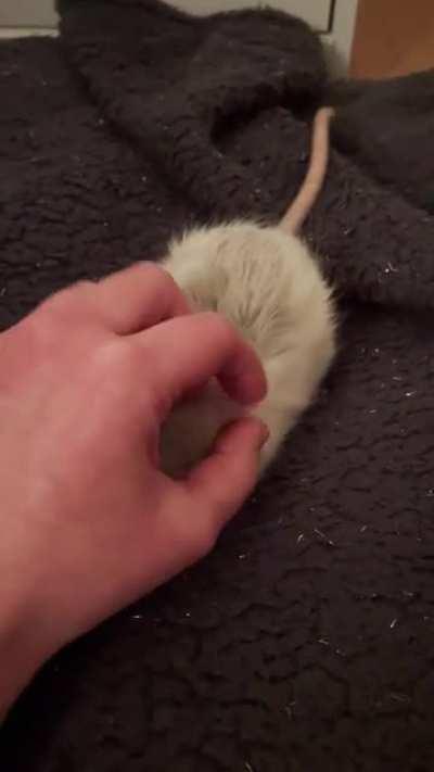 One of my sweet boys