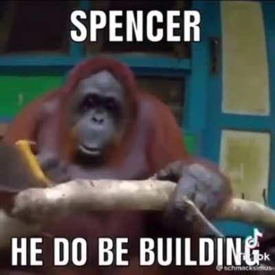 I’ll admit, there’s some gems on tik tok