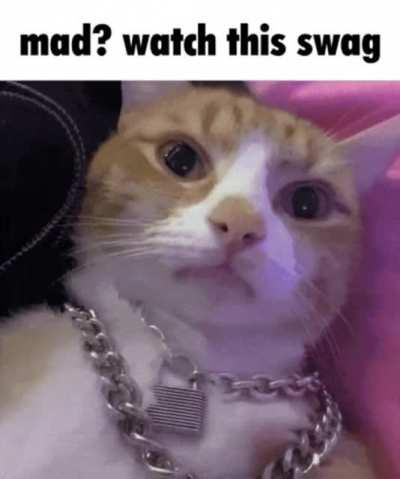 r/unexpectedthuglife