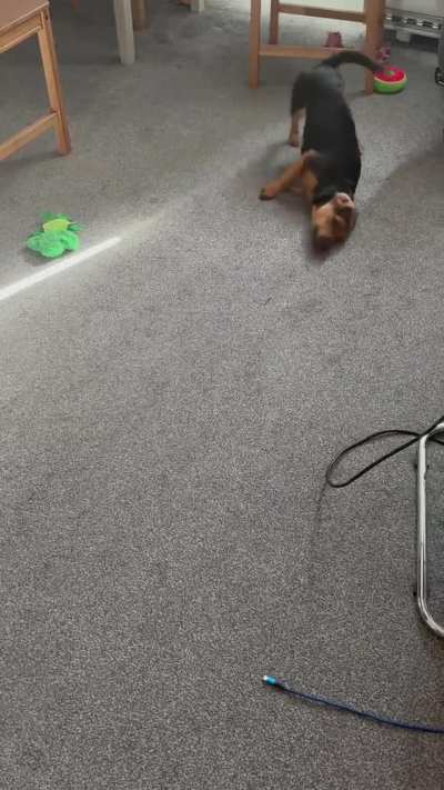 After bath dramatics.