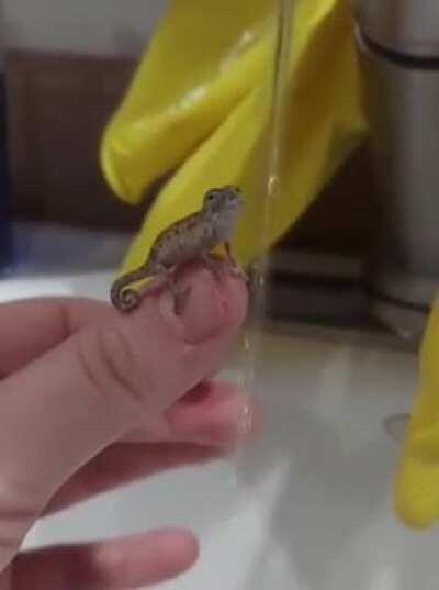 Here let me get you some water...hold up...wait...hmmm...I need a cup!