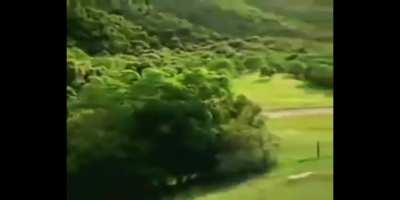 Sup eddie I'd love to be in a video and keep up the good work