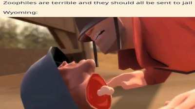 Had a dream that Wyoming made it legal to have sex with animals as long as you're in a farm, and I also dreamt this exact meme.