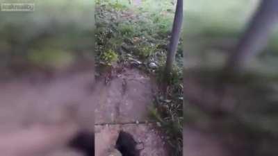 WCGR safety glasses.