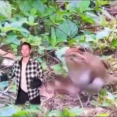 Some intense training. 