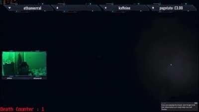 Biggest jump scare of my life