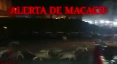 Es viejazo, pero siento que pertenece a este sub