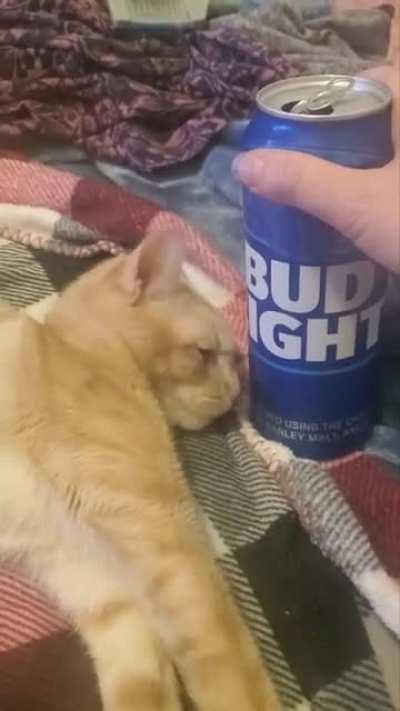 I remember my first beer...