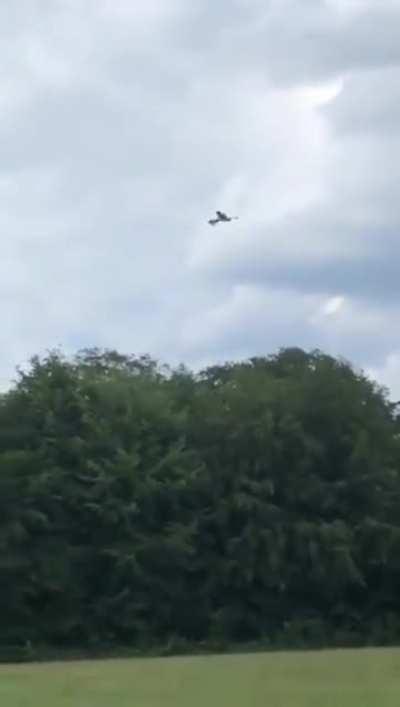 Coitado, ta lagado :(