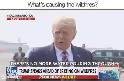 Trump the scientish guy.🤓