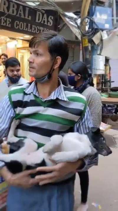 Guy gets called crazy for taking care of pup whose leg gets run over by a scooter.