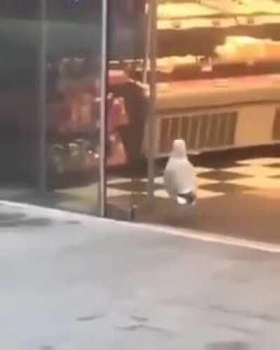 Enough is enough the looting has got to stop