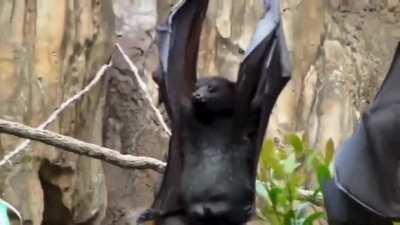 SLPT: if you’re sleeping and you need to piss, just go