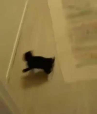 Here I come to save the...nope.