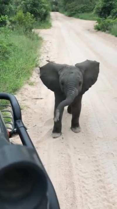 The face plant at the end...