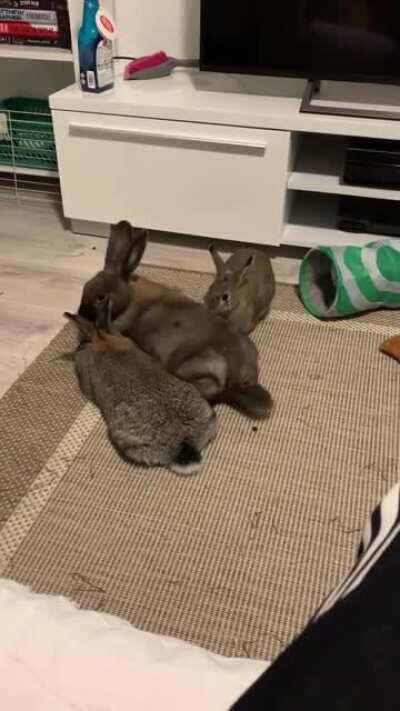 PAY ATTENTION TO MEEE