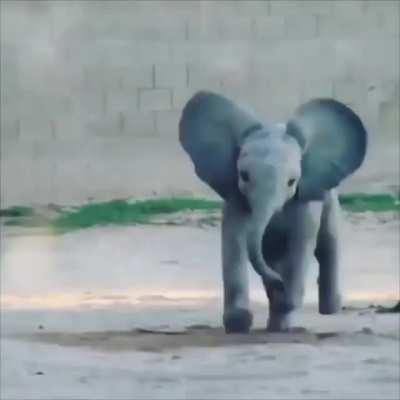 “Quick quick I’m going to be late for school!”