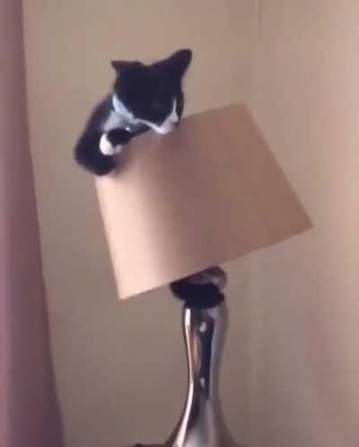 Object permanence what now?