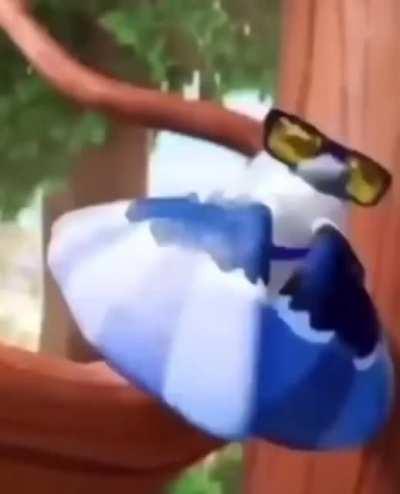 Fly with the birds 🦅