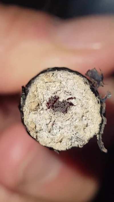 1g of Watermelon Pines, 1g of Peyton’s Strawberries, and .5g of fresh frozen Paradise OG hashish in the middle. Tastes like a vanilla watermelon and strawberry pastry/cookie. Anyone enjoy smoking hash holes?